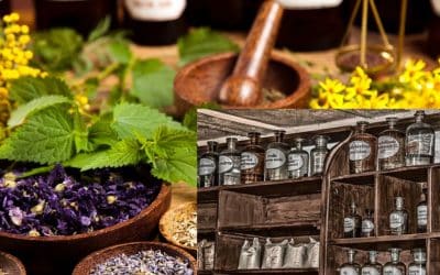 Costa Rica’s Bush Medicine: Backyard Cures You’ve Never Heard Of