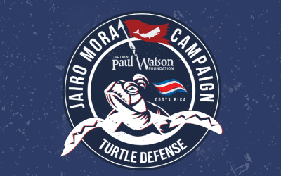 Captain Paul Watson Foundation: (CPWF ) Costa Rica Update