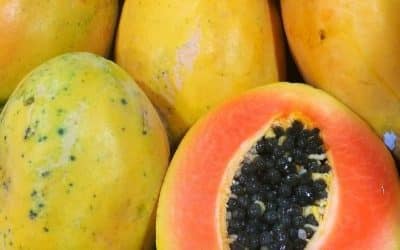 Cooking with Papaya