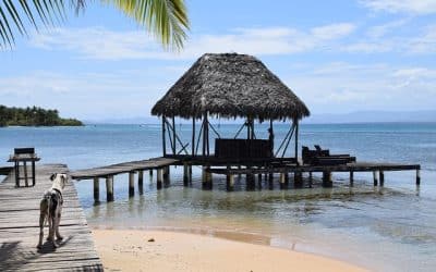 Bocas del Toro