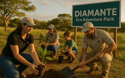 CST: Being Green Matters for Diamante Eco Adventure Park