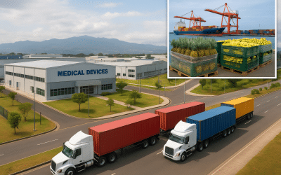 Beyond Bananas: The 30 Export Products Powering Costa Rica’s Economy