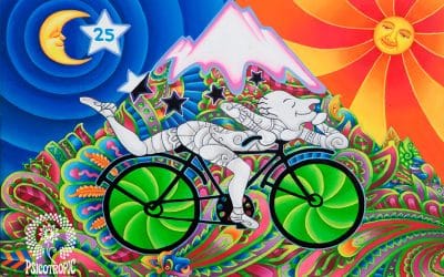 Dering Cambronero: Psychedelic Art from Costa Rica, From Yellow Submarine to Brewery Labels