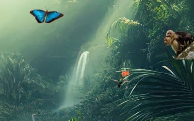 Costa Rica Wildlife: 30 Incredible Animals You Can Actually See