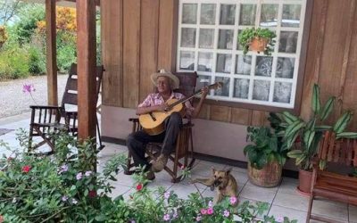 Torunes: Founded by Fatigue, Fueled by Coffee, Haunted by Excellence