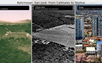 Rohrmoser: from coffee rows to city streets, and the family name that never left