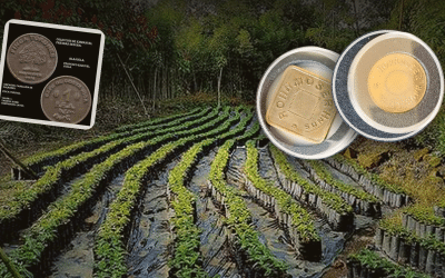 Brass, Beans, and Backstory: The Coffee Tokens That Shaped Costa Rica’s Plantation Era