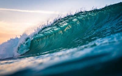 The Importance of Swell Angle