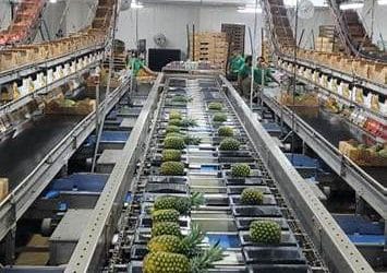 Costa Rica’s Exports in 2026: The Country You Tour, and the Country the World Buys From