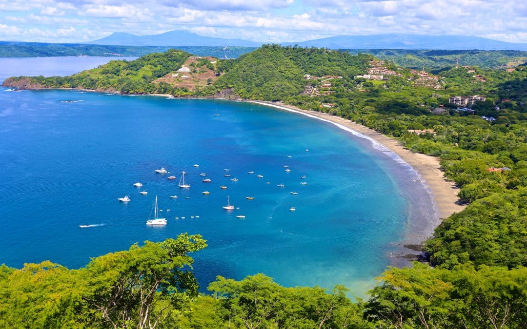 French Canadian Real Estate Agent Welcomes YOU FR/EN