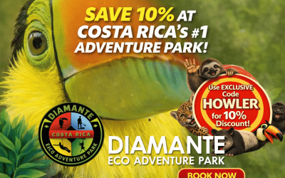 Diamante Eco Adventure Park: Ziplining, Wildlife and 10% Off With Code HOWLER