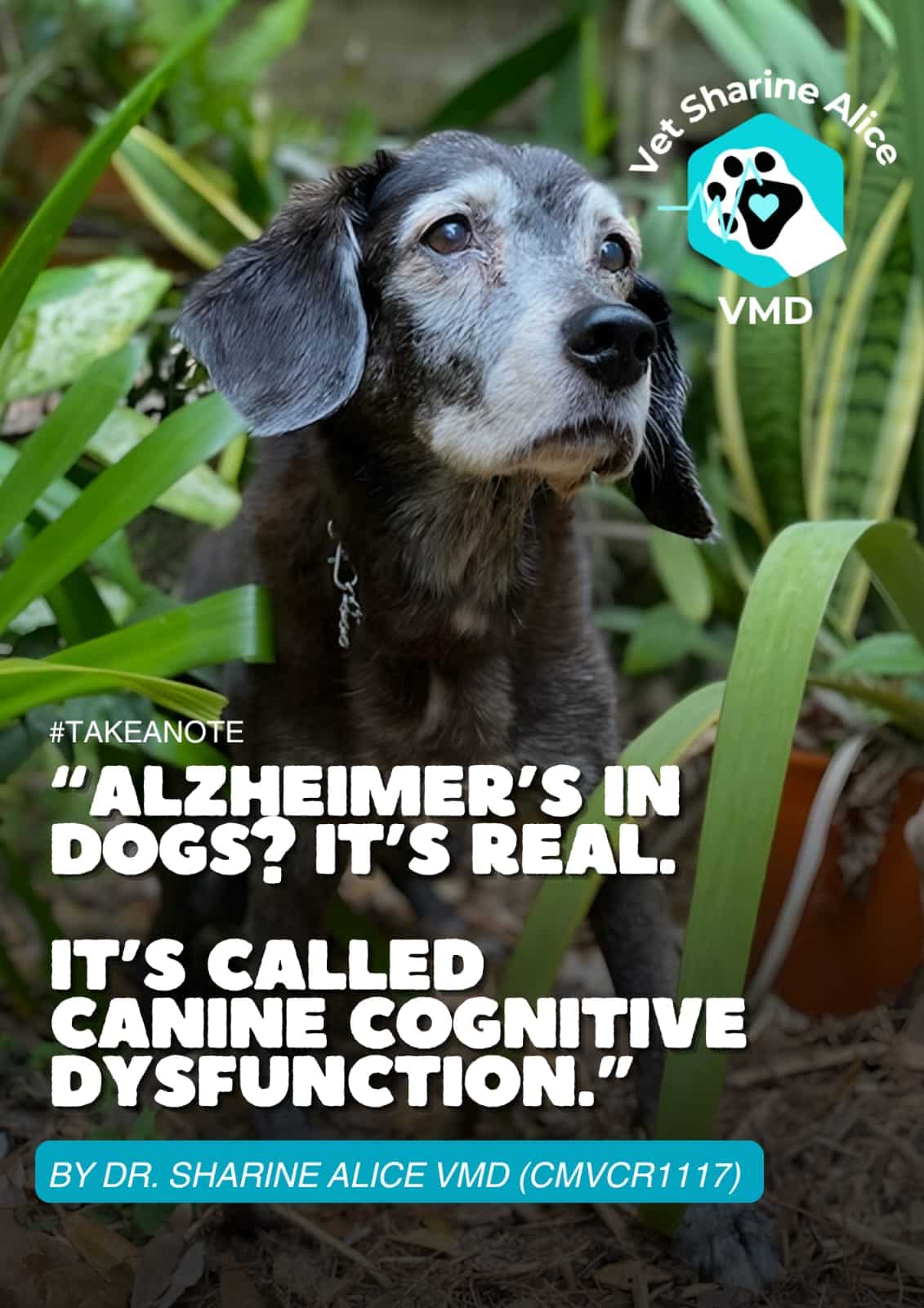 WhatsApp Image 2026-03-18 at 4.29.52 PM