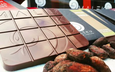Blue Valley Chocolate Costa Rica: How Sustainable Cacao is Redefining Fine Chocolate