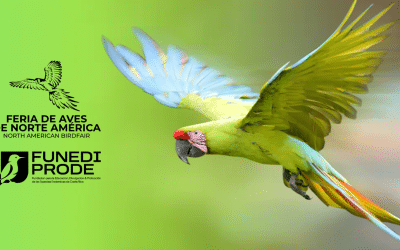 Welcome To the North American Birdfair