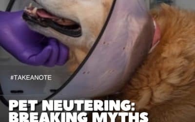 PET NEUTERING: BREAKING MYTHS AND PROTECTING THEIR HEALTH