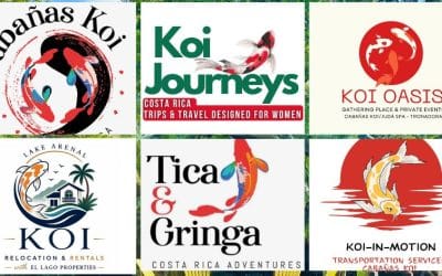 Cabañas Koi, Tours, Relocation and More!